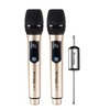 Blackmore Pro Audio Dual Handheld Rechargeable Wireless UHF Microphone System BMP-14